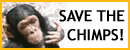 Save the Chimps